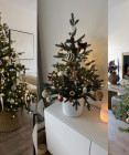 Méně ozdob, více harmonie: Minimalistický vánoční stromeček si tě letos získá!