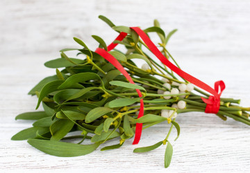 Imelo nie je len na ozdobu: Prekvapí ťa zázračnými schopnosťami!