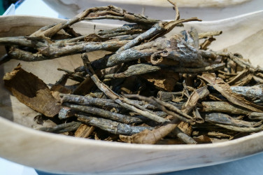 Ako sa zbaviť tráviacich problémov? Objav účinky kôry chinínovníka!