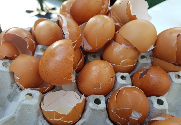 Už viac nevyhadzuj škrupiny z vajec! Pozri, ako ti pomôžu.