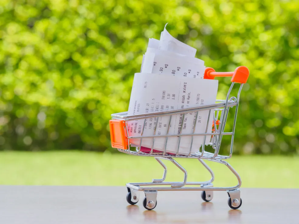 výdaje v domácnosti