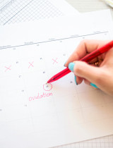 Kedy mám plodné dni? Zisti všetko potrebné o ovulácii