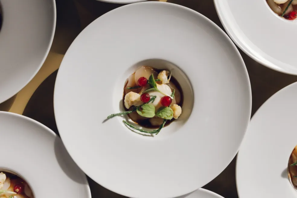 lifestyle trendy 2026