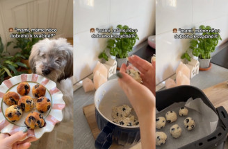 Čučoriedkové guľky z teplovzdušnej fritézy – sladký snack len z 3 surovín