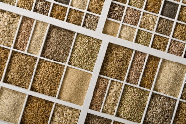 Zdravšie telo či krajšie a dlhšie vlasy? Zaraďte do svojho jedálnička toto!