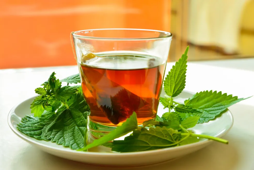 čaj proti jarnej únave