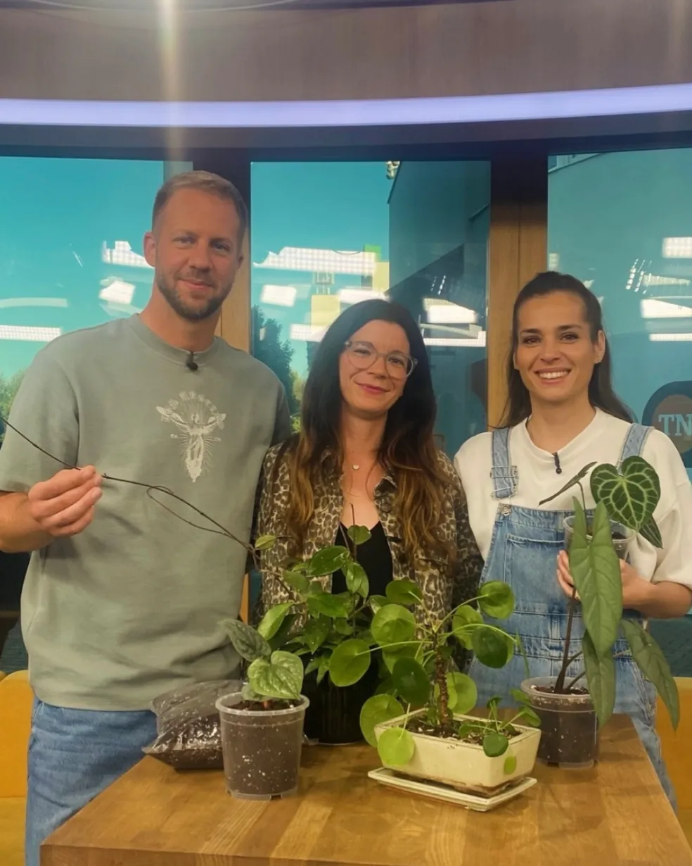 najčastejšie chyby pri pestovaní rastlín