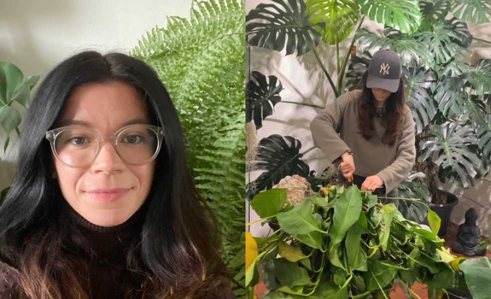 starostlivosť o rastliny Zelený kút