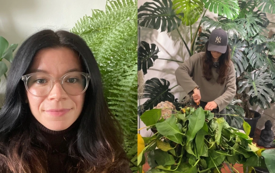 starostlivosť o rastliny Zelený kút