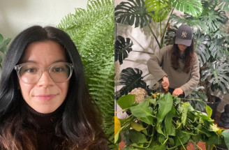 Prečo vám doma hynú rastliny? Odborníčka z projektu Zelený kút odpovedá toto!