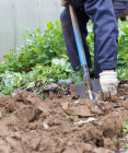 Rýľovanie záhrady: Kedy sa naozaj oplatí tento krok vynechať?