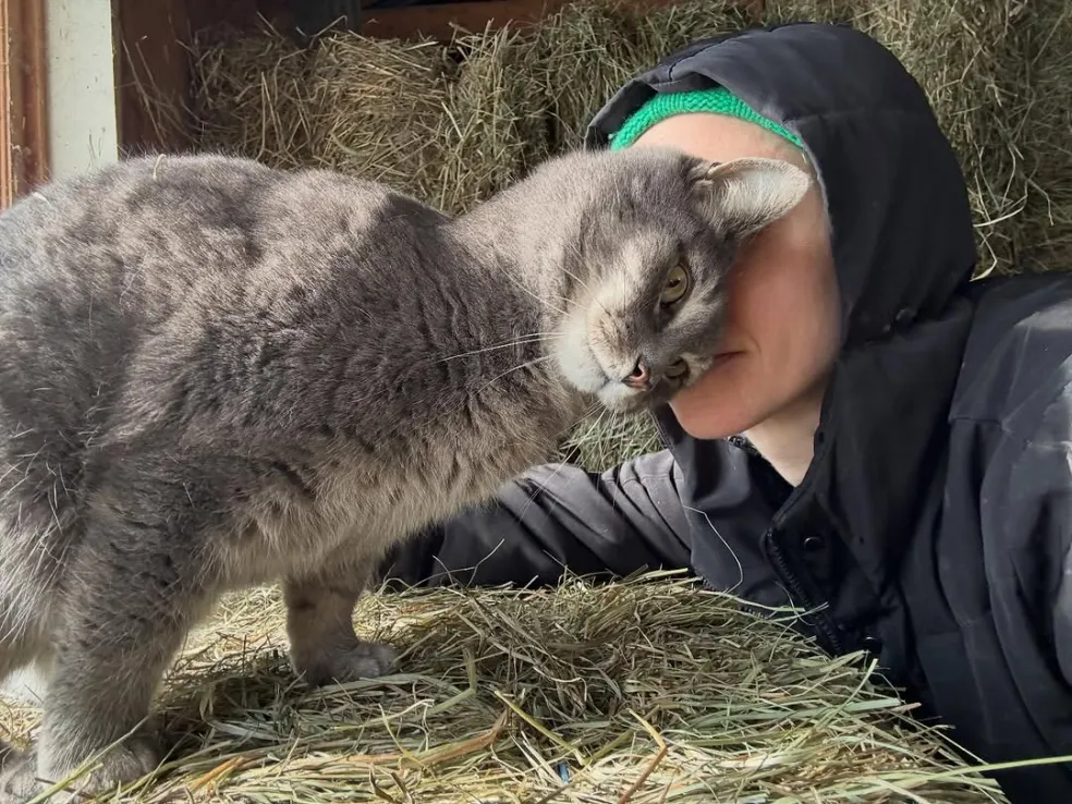 aktivizmus v Hollywoode