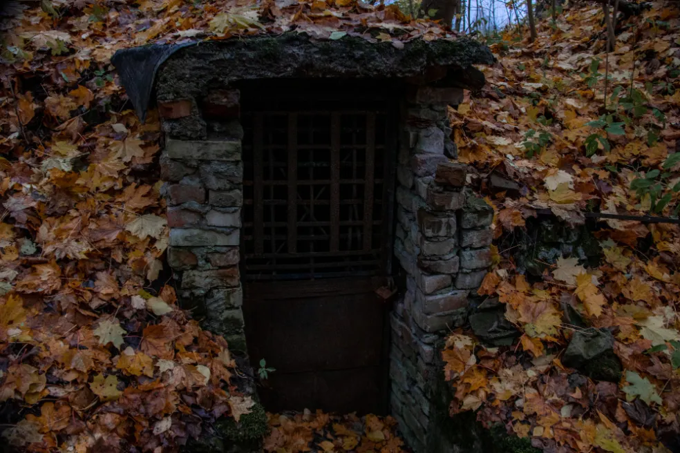 čo znamená pivnica v sne