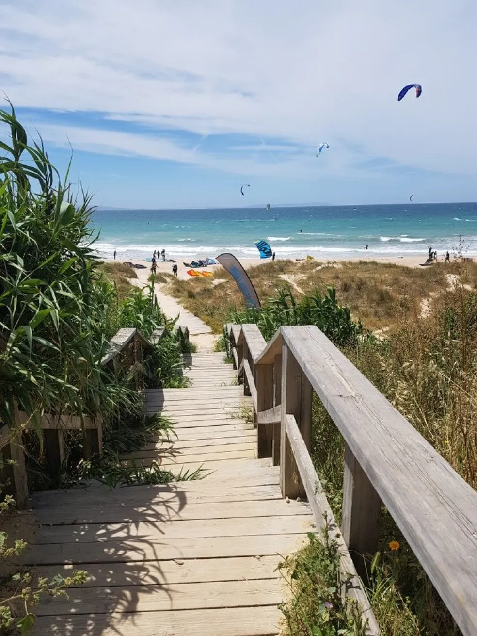 jar pri mori bez davov