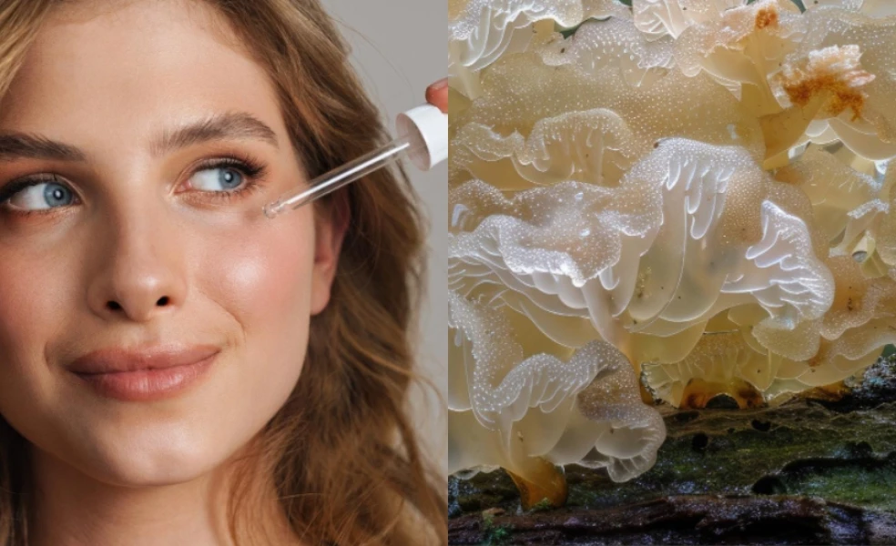 tremella fuciformis v kozmetike