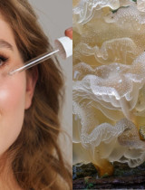 500-násobná hydratácia? Tremella fuciformis dobýva kozmetický svet