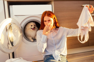 Prečo vaša práčka po zime zapácha? Problém, ktorý odhaľuje viac než len nedokonalú údržbu