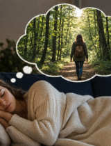 Les v sne: Čo znamená a aký má výklad