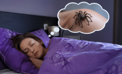 Sen o pavúkoch? Čaká ťa smola a nešťastie?!
