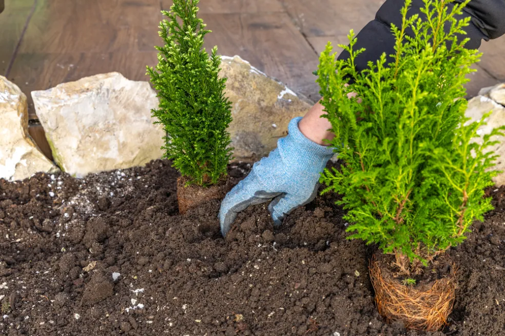 sny o záhrade význam