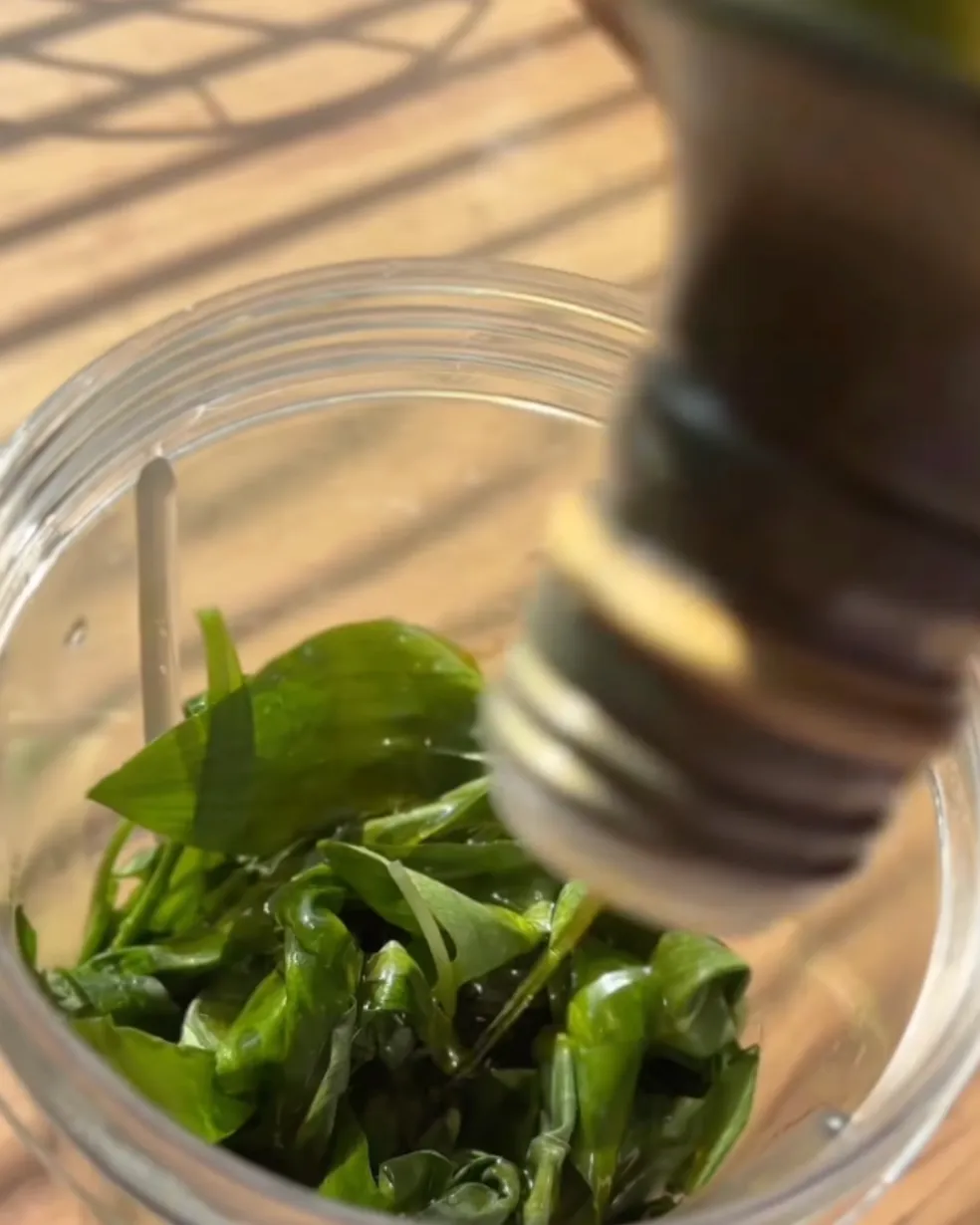 medvedí cesnak recepty