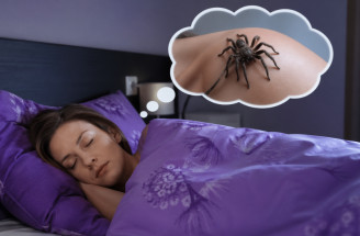Sen o pavúkoch? Čaká ťa smola a nešťastie?!