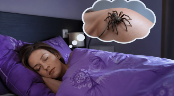 Sen o pavúkoch? Čaká ťa smola a nešťastie?!