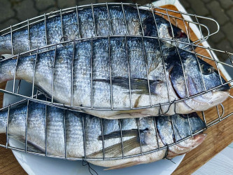 Grilovaná pražma: Ryba, ktorá nepotrebuje marinádu ani zložité triky