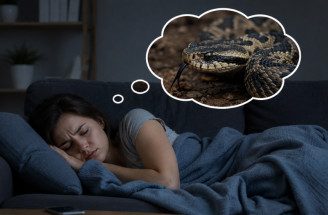 Had v sne: Čo znamená uhryznutie, veľký had či mŕtvy had?