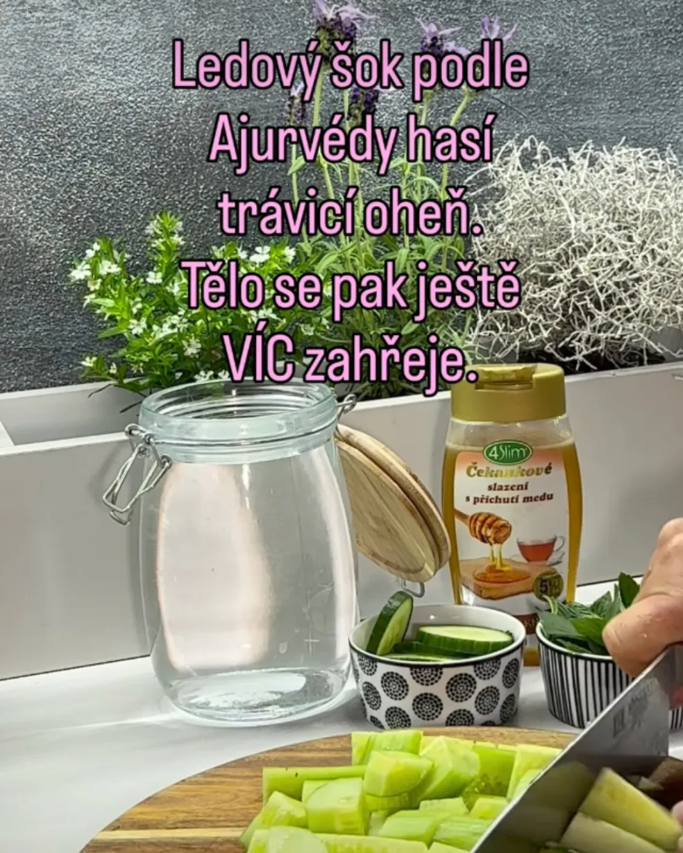 letné nápoje