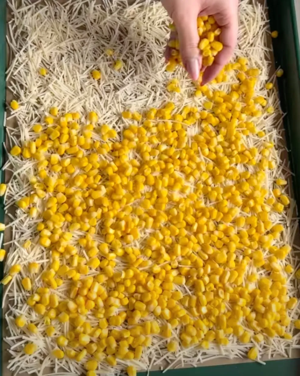 Osušené zrnká mrazenej kukurice nasypané na vrstve parmezánu na plechu