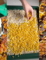 Parmezánové kukuričné chipsy: virálny recept z 2 ingrediencií