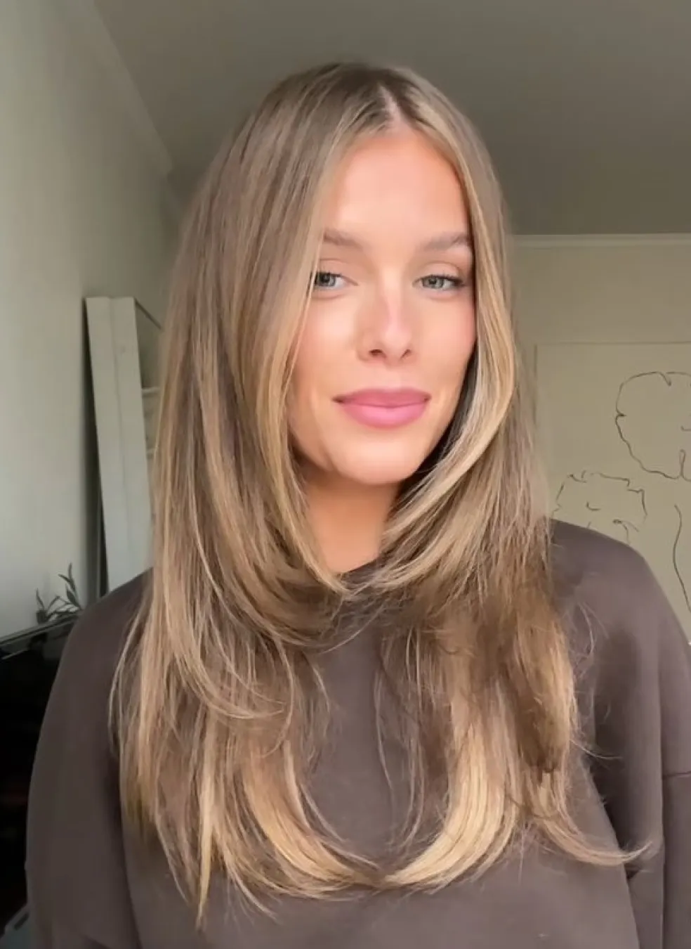 face-framing layers s jemnými vrstvami vlasov rámujúcimi tvár