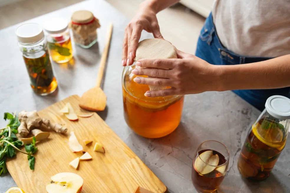 kombucha ako fermentovaný čajový nápoj