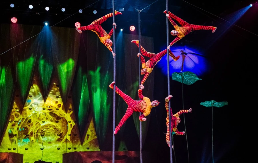 Cirque du Soleil OVO