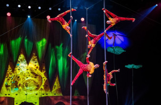 Ako vzniká OVO? Nahliadnite do zákulisia jednej z najslávnejších šou Cirque du Soleil
