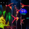Ako vzniká OVO? Nahliadnite do zákulisia jednej z najslávnejších šou Cirque du Soleil