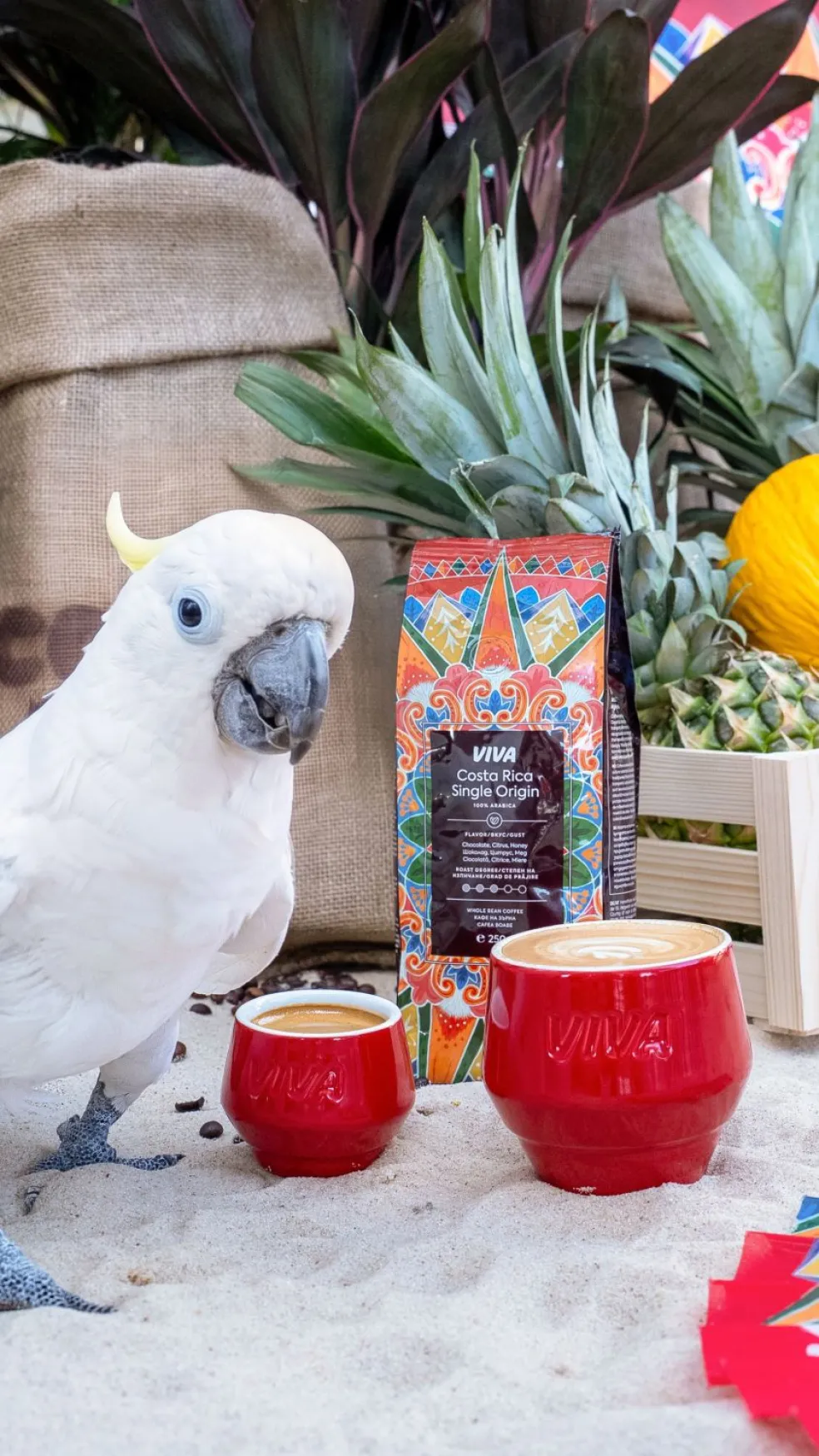 VIVA COSTA RICA single origin