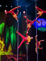 Ako vzniká OVO? Nahliadnite do zákulisia jednej z najslávnejších šou Cirque du Soleil