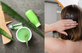 Aloe vera na vlasy: čo možno čakať od domácej masky?